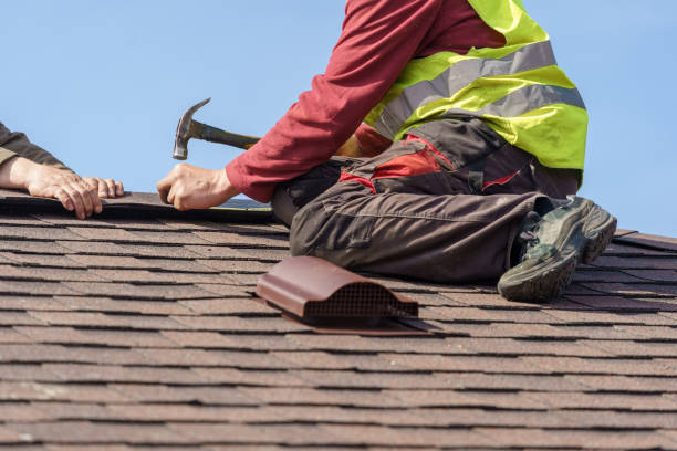 Best Roof Gutter Cleaning  in Lambert, MS