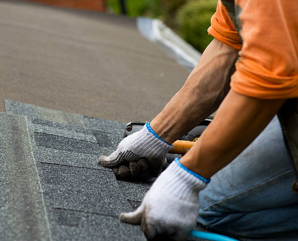 Best Shingle Roofing Installation  in Lambert, MS